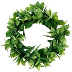 a wreath made out of green leaves on a white background