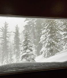 a window view of snow covered trees in the distance and through it is a snowy forest