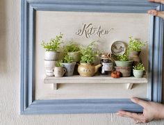 there is a shelf with potted plants on it and the word kitchen written in cursive