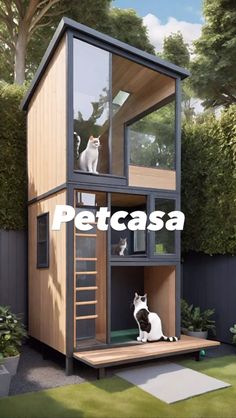 two cats are sitting on top of a small wooden house with the words petcasa above it