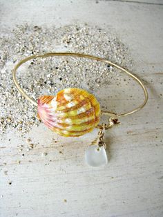 "The Sunrise Shell is prized for its rarity. It is found only in the Hawaiian Islands, and rarely found on the beach. Most of them are found by divers, deep in the ocean. My Sunrise Shells are found by my husband and a close family friend. Our Sunrise Shell creations are a true LABOR OF LOVE. From my husband diving to extreme depths to unearth these beauties beneath layers of sand, to the labor-intensive processing of the shell (to remove any natural calcification of the shell), to my final desi Beachy Gold Shell Bracelets, Beachy Gold Bracelets With Shell, Unique Beach Bangle Jewelry, Ocean-inspired Gold Shell Bracelets, Ocean-inspired Shell Bracelet Jewelry, Shell Creations, Sunrise Shell, Seashell Beach, Close Family