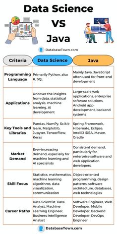 the data science vs programming poster