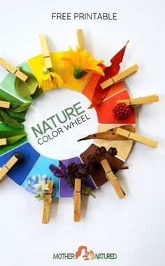 the nature color wheel is made out of popsicle sticks and colored paper with flowers on them