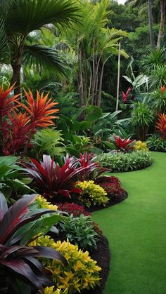 a lush green garden with colorful flowers and plants