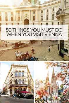 the top ten things you must do in vienna