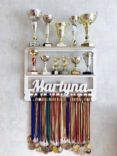 there are many trophies on the shelf and one is hanging from it's wall