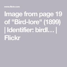 an image from page 19 of bird - loe 1989 identifier bird flickr