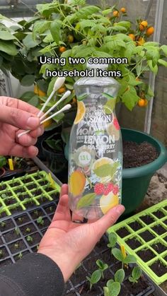 someone holding up a bottle with plants in it and the words water your plants with