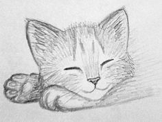 a pencil drawing of a kitten sleeping