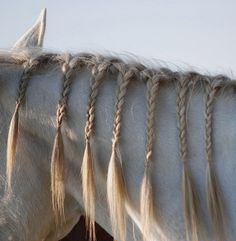 the back end of a white horse with long braids