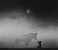 a person standing next to a horse in the fog