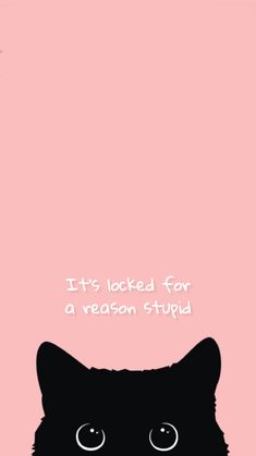 Its Locked For A Reason Wallpapers Cute, Dont Touch Its Not Your Phone Wallpaper, You Have No Access Here Wallpaper, It’s Locked For A Reason Wallpaper, Its Locked Wallpapers, Its Locked For A Reason Wallpapers, It’s Locked Wallpaper, Funny Iphone Wallpaper Aesthetic, Its Locked Wallpapers Funny