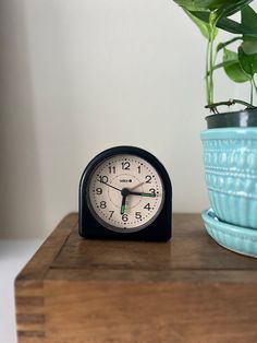 a small black clock sitting next to a potted plant