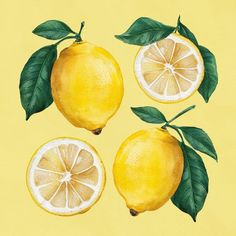 three lemons with green leaves on a yellow background