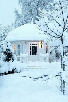 a small white house covered in snow next to a tree and shrubbery with lights on