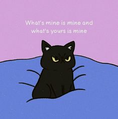 a black cat sitting on top of a bed under a purple blanket with the caption what's mine is mine and what's yours is mine?