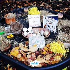 an arrangement of plants, rocks and books on a table in the shape of a bird's nest