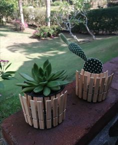 two succulents are placed in bamboo baskets