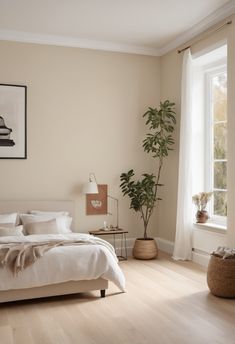 a bedroom with a bed, potted plant and large window in it's corner