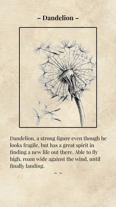 #flowers #Dandelions #dandelion #dandelionsflower #vintage Dandelion Tattoo Meaning, Dandelion Quotes, Easy Drawing Step By Step, Dandelion Drawing, Beautiful Pencil Drawings, Dandelion Art, Dandelion Tattoo, Easy Drawing Steps, The Dandelion