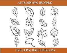 the autumn svg bundle includes leaves, acorns and other fall foliage elements