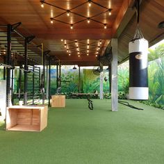 an indoor gym with green carpet and wooden benches on the ground, surrounded by plants