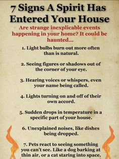 Paranormal Facts, Parallel Dimension, Spirit Ghost, Paranormal Stories, Scary Facts, Wiccan Magic, Creepy Facts, Witch Spirituality