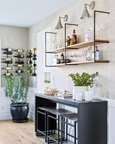 a bar with shelves and bottles on the wall next to a potted plant in front of it