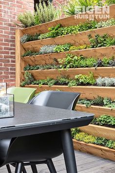 an outdoor patio with plants growing on the wall