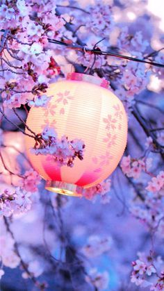 a pink lantern hanging from a tree filled with purple flowers