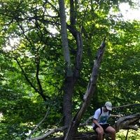 a man sitting on top of a wooden bench in the woods next to a tree