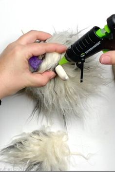 a person using a hair dryer on a dog's fur