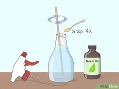 how to use an essential oil for home remedishments with pictures - wikihow com