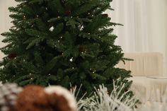 a small christmas tree in the corner of a living room