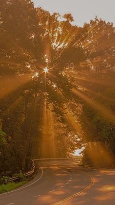 the sun shines brightly through the trees on an empty road