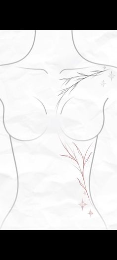 a drawing of a woman's torso with red flowers on the top and bottom