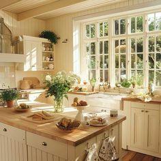 a kitchen filled with lots of counter top space next to a window covered in potted plants