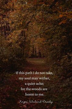 a path in the woods with an inspirational quote