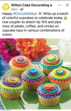 cupcakes with colorful icing are on a green plate