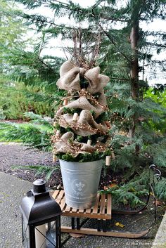 a potted plant with burlocks on it sitting next to a lantern light