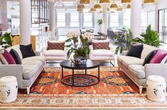 a living room filled with furniture and lots of plants on top of a rug in front of windows