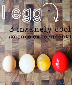 an image of eggs on a cutting board with the words, egg v 3 insanely cool science experiments