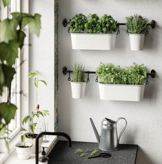 some plants are growing in white pots on the wall next to a watering can and window sill