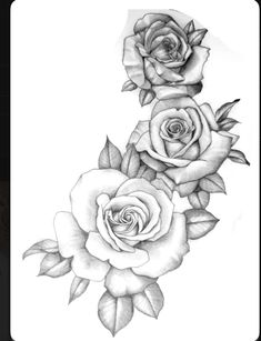 a black and white drawing of three roses