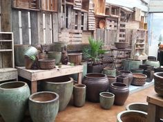 many pots are sitting on the floor in front of wooden shelves with plants growing out of them