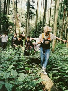 a group of people walking across a forest filled with tall grass and trees on top of a fallen log