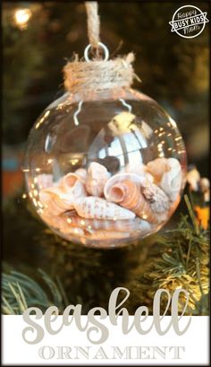 an ornament hanging from a christmas tree with seashells in the bottom