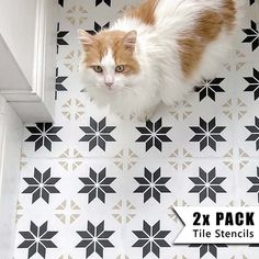 an orange and white cat sitting on top of a tiled floor