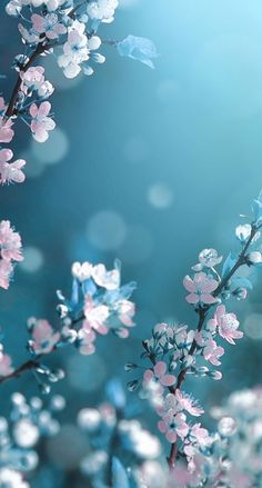 some pink and blue flowers on a tree branch with blurry lights in the background