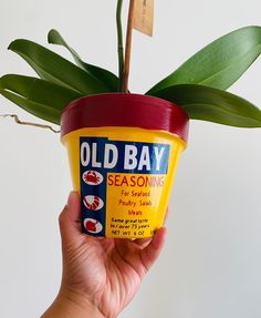 a hand holding an old bay ice cream container with a plant growing out of it